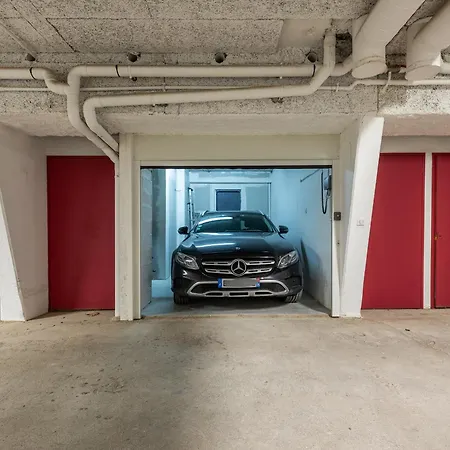 Bambou Heliopolis Agde